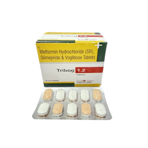 TRIBOG-1.2