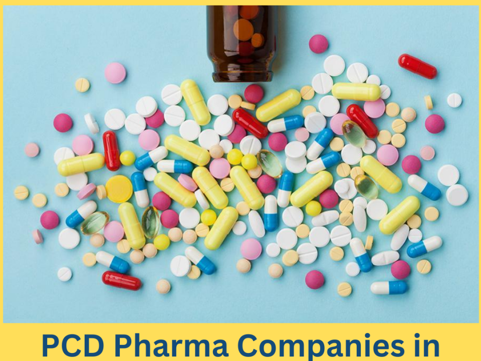 PCD Pharma Companies in Pondicherry
