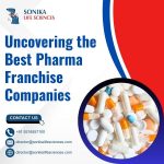 Uncovering the Best Pharma Franchise Companies
